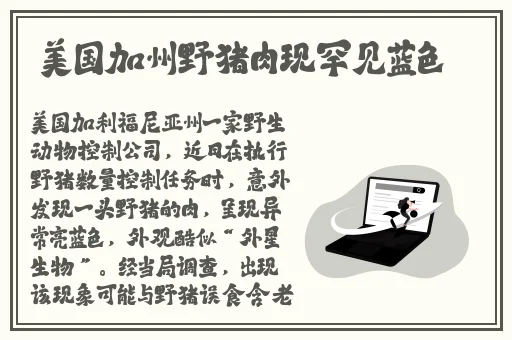 麻花星空无限传媒制作有限公司